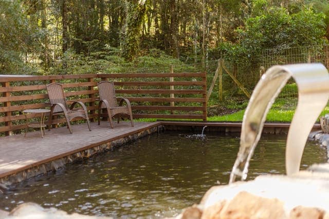 Piscina natural com deck de madeira e cascata
