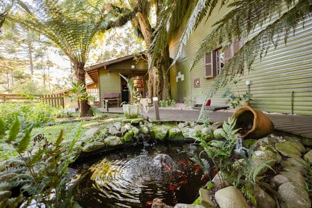 Lago ornamental com pedras, samambaias e queda d'água